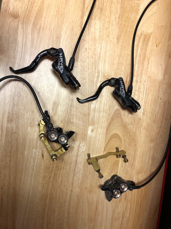 hayes stroker carbon