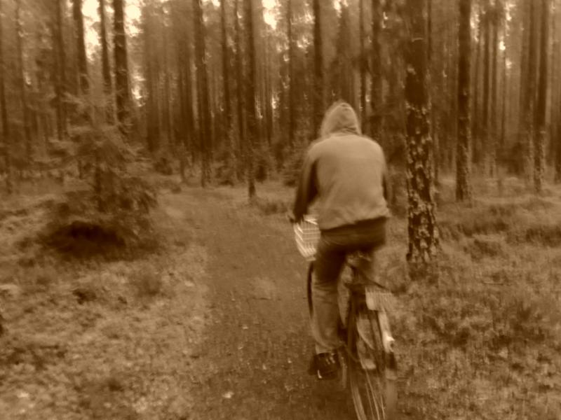 blaire whitch style! spooky as foook forests be mint for a good xc bike