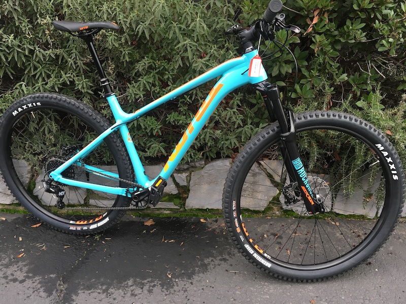 2019 kona honzo dl