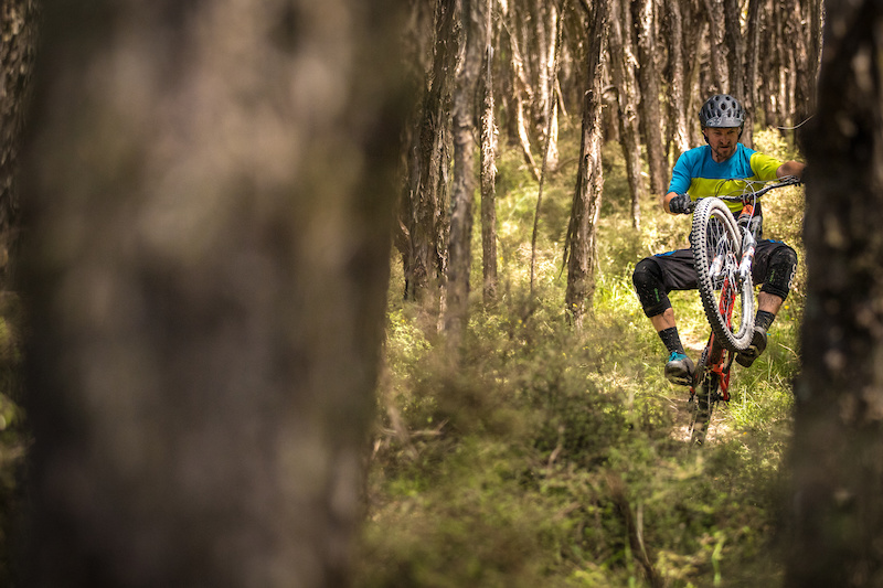 Black Birch Track Mountain Biking Trail Trailforks