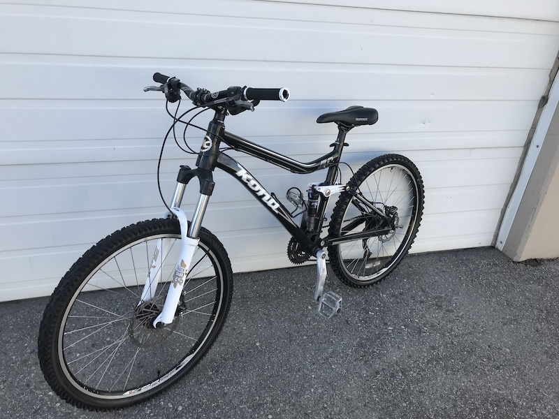 kona tanuki for sale