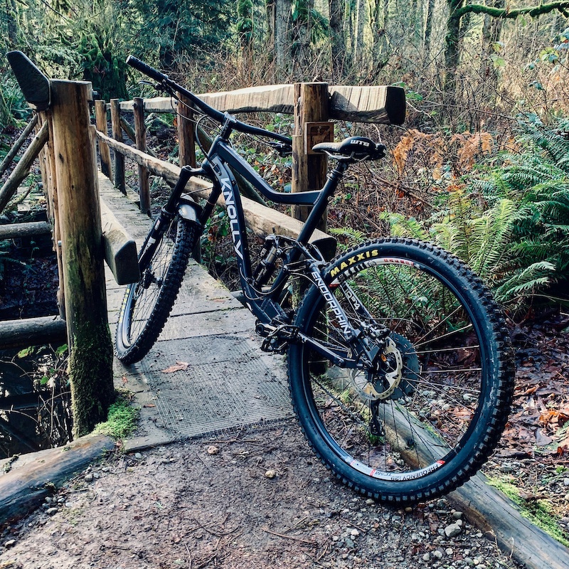 Echo Quarry Mountain Biking Trail Renton, Washington