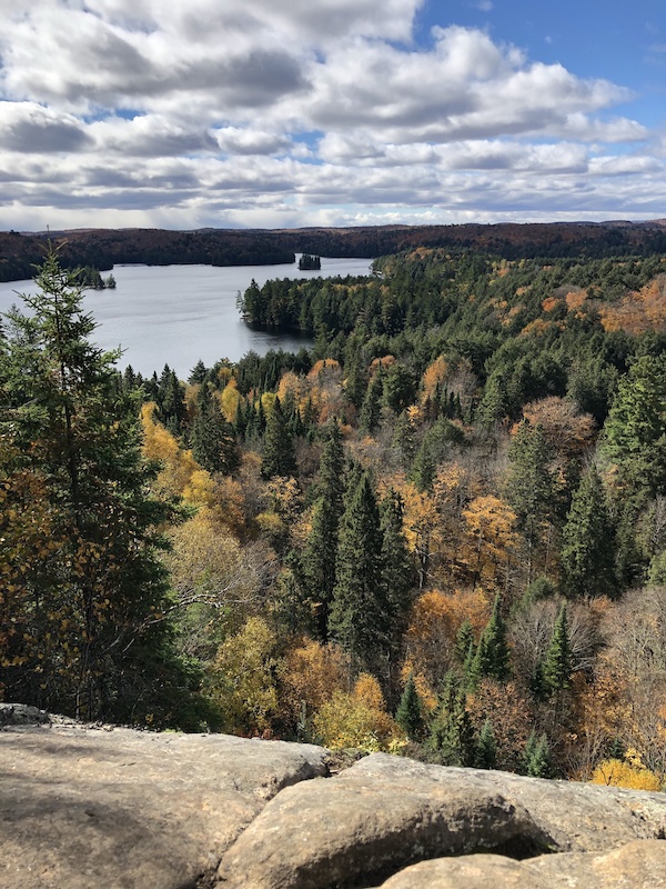 Track and outlet tower trail algonquin