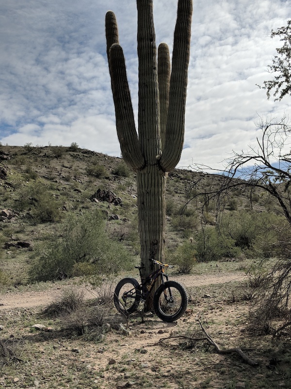 Warpaint Loop Multi Trail Phoenix, Arizona