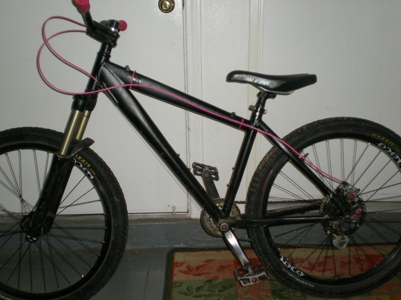 My specialized hardrock that i panted
