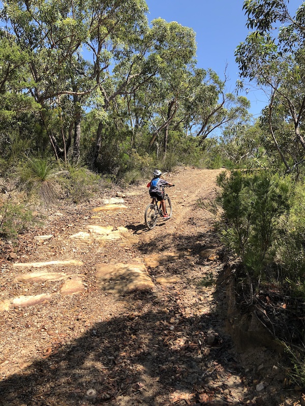 Mona Vale, Sydney Mountain Biking Trails Trailforks