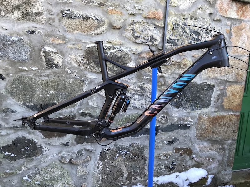 canyon strive frame