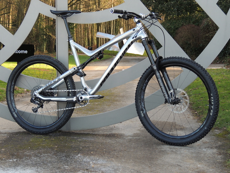 silver paint for bike