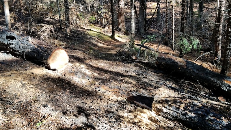 mobile home parks in grants pass oregon