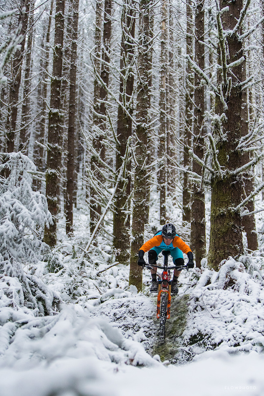 at Christmas Tree Farm in North Bend, Washington, United States photo