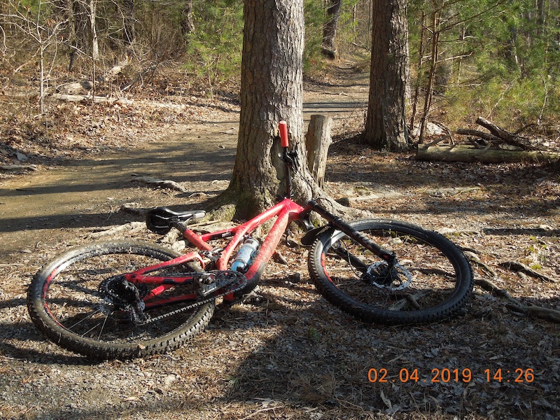 Burke Lake Loop Trail Multi Trail - Burke, Virginia