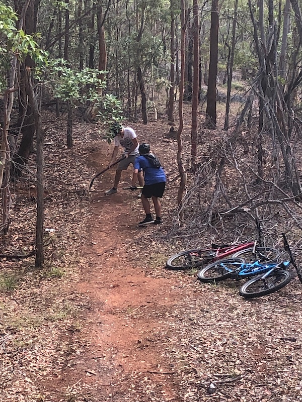 belmont bike park