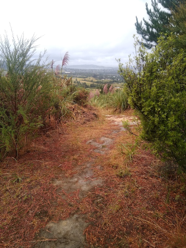 mckenzie bike trail