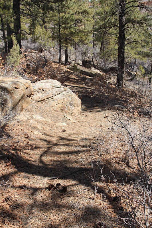 Devils Canyon Interpretive Mountain Biking Trail Monticello Ut