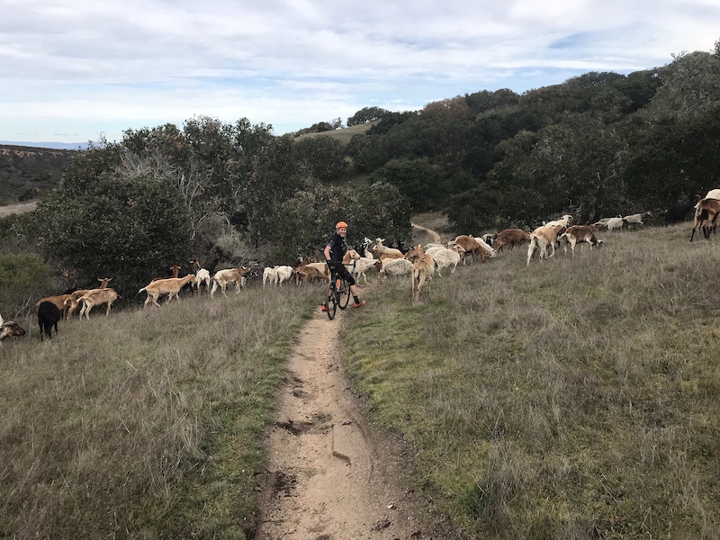 Sea Otter Classic Course 22' (40k/25Mi) Mountain Biking Route Trailforks