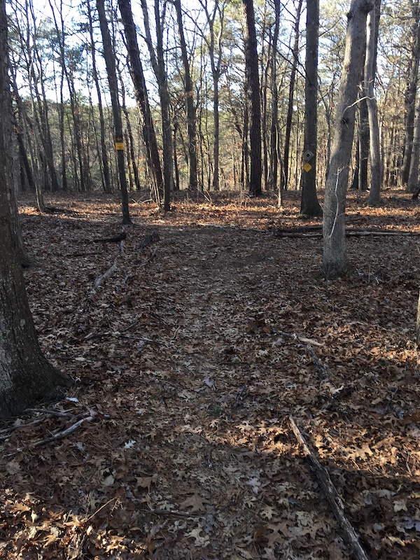 Otis Pike Preserve (Calverton), Calverton Mountain Biking Trails