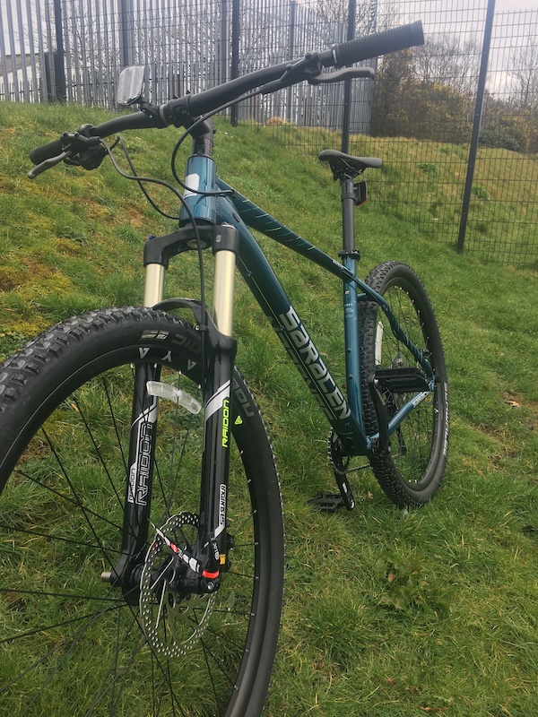 saracen zenith 29er