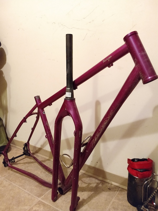 2018 Salsa Fargo Frame and fork (Purple) (OBO) For Sale