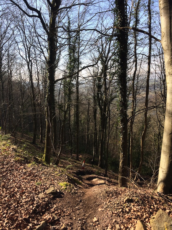 Wentwood Forest, United Kingdom Mountain Biking Trails | Trailforks