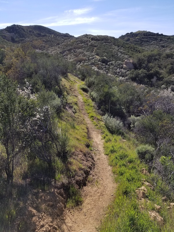 Los Angeles, California Mountain Biking Trails | Trailforks