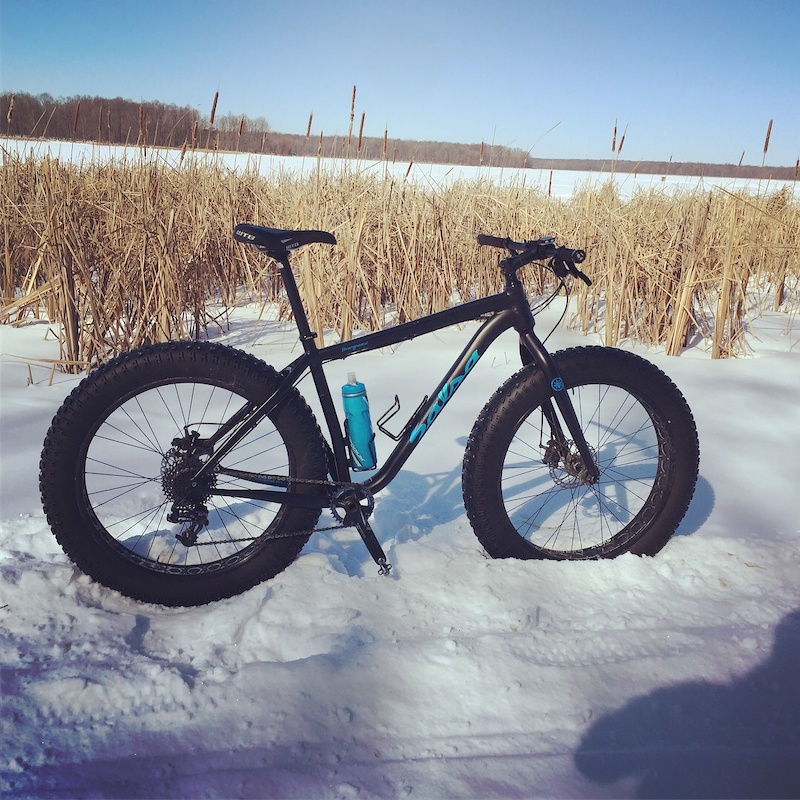 salsa beargrease 2017