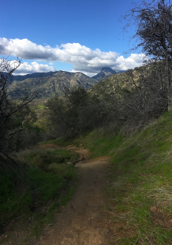 chutes mountain bike trail