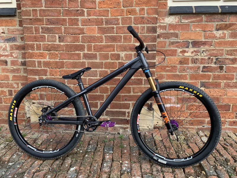 santa cruz jackal for sale