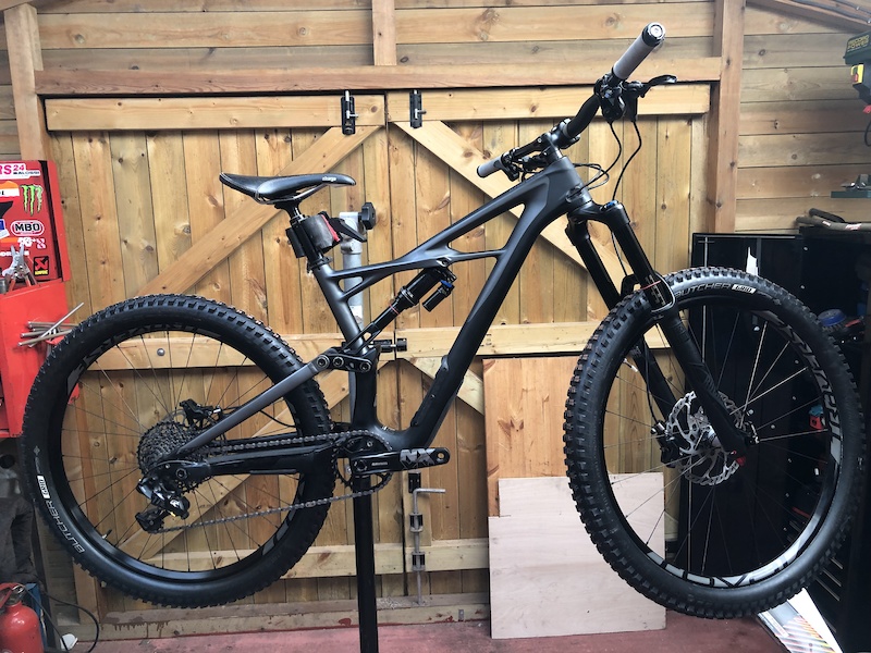 specialized enduro elite satin carbon