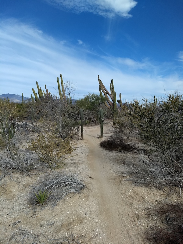 Quail Trail Mountain Biking Trail La Ventana