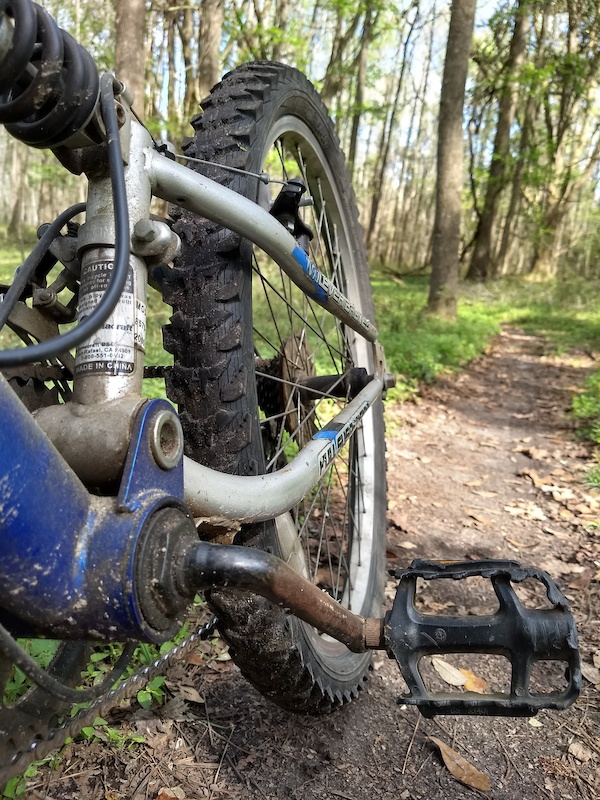 Hidden Rise Mountain Biking Trail - Alachua, Florida