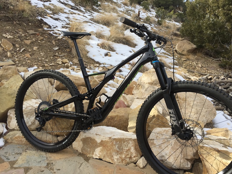 stumpjumper 2019 carbon