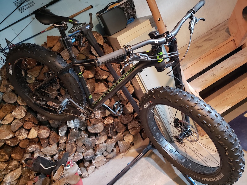 gore power bib shorts