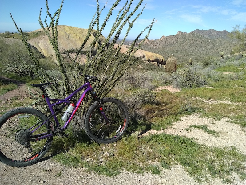 Daunting Dare Mountain Biking Trail Apache Junction