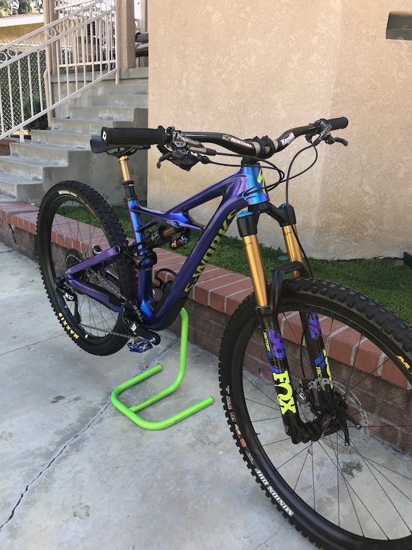 specialized enduro chameleon