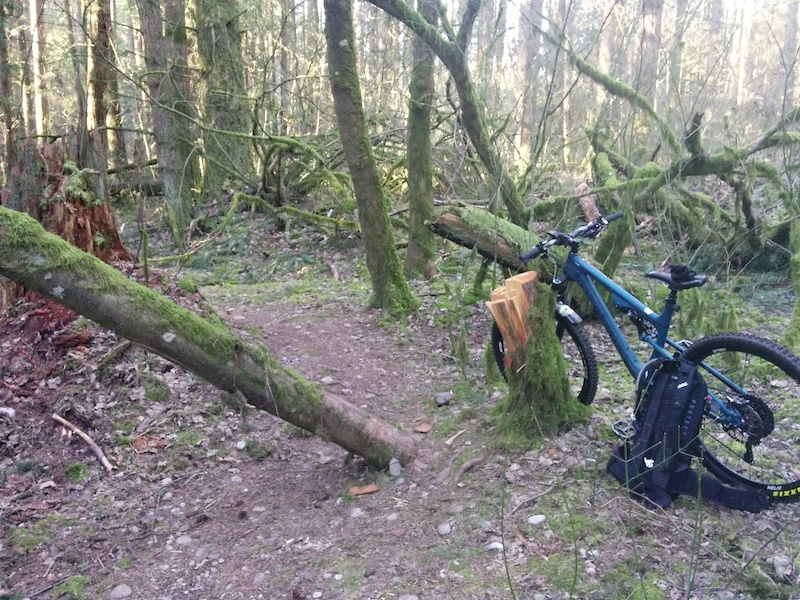 Lower Tyre Trail Mountain Biking Trail Delta, BC