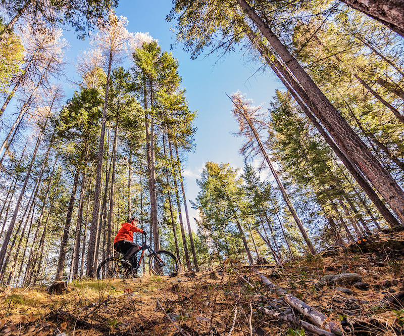 Patterson Ridge Australia Patterson Ridge Multi Trail - Kimberley, British Columbia