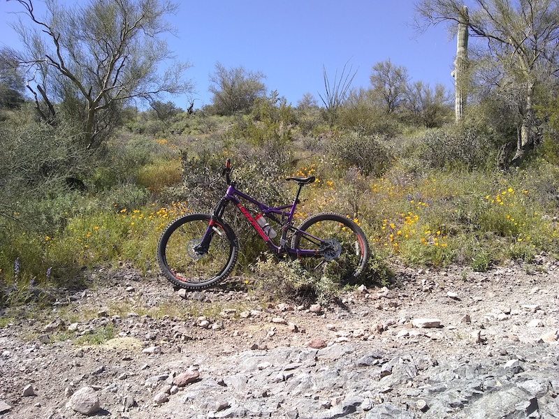 Haunted Crossing Multi Trail Apache Junction, Arizona