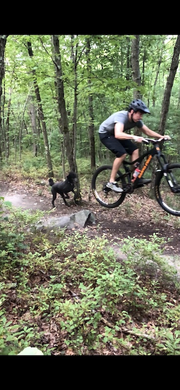 blue hills mountain biking