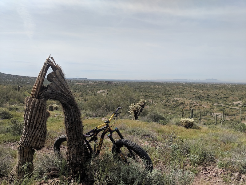 Miner's Ridge Multi Trail Apache Junction, Arizona
