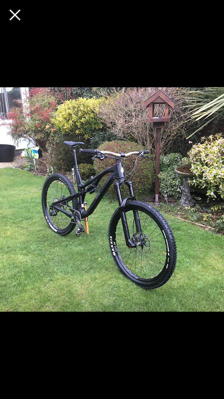 intense recluse carbon