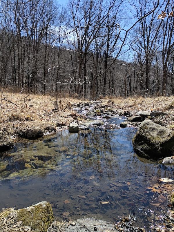 Sylvan Brook Mountain Biking Trail Yorktown, New York