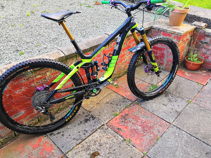 giant reign custom paint