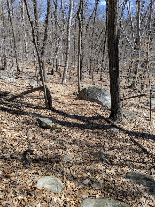 Snake Hill Mountain Biking Trail Yorktown, New York