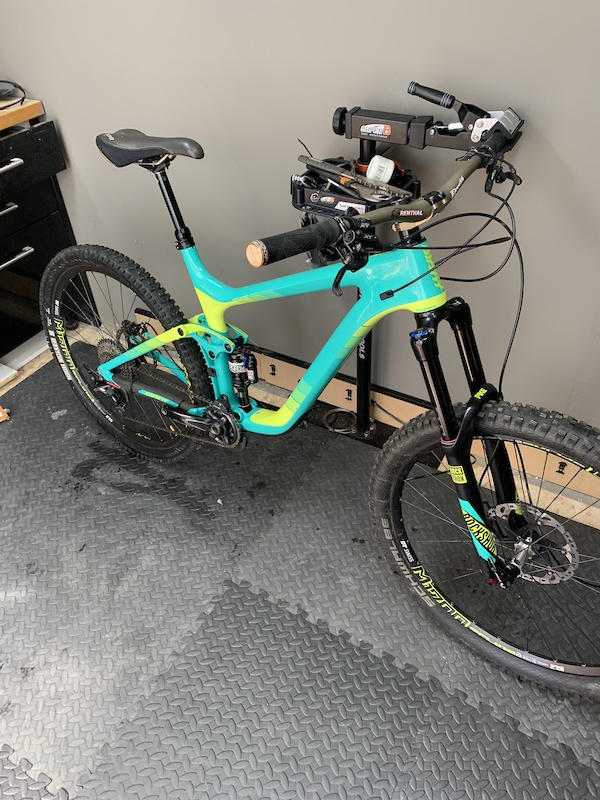 giant reign custom paint