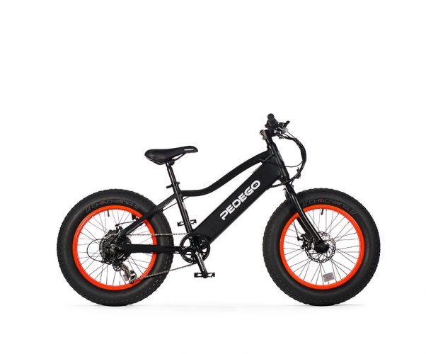 2017 Lightly Used Pedego Kids Trail Tracker 20″ For Sale
