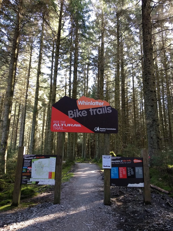 whinlatter bike trails