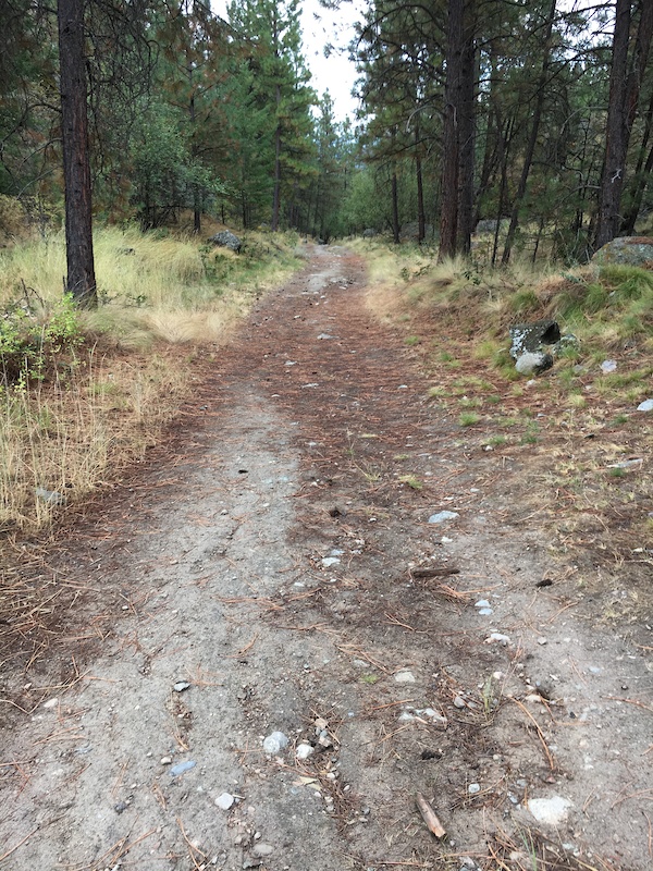 Wiltse 2track * Mountain Biking Trail Penticton