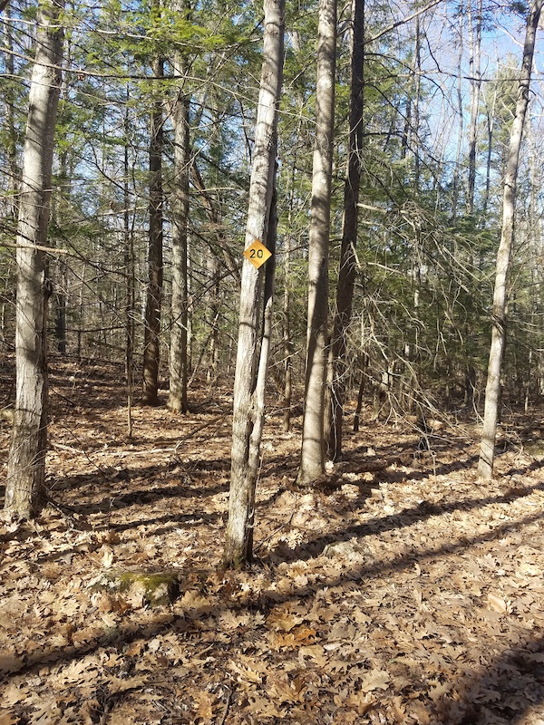 Northern Exposure Mountain Biking Trail Exeter, NH
