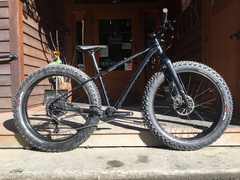 fatboy specialized 2019