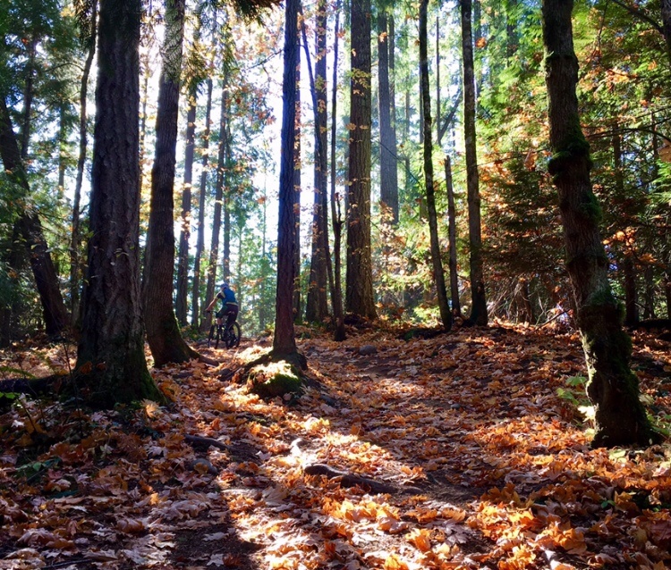 Extension secondary road Mountain Biking Trail Nanaimo